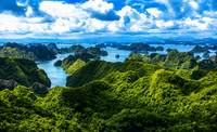 Cat Ba National Park