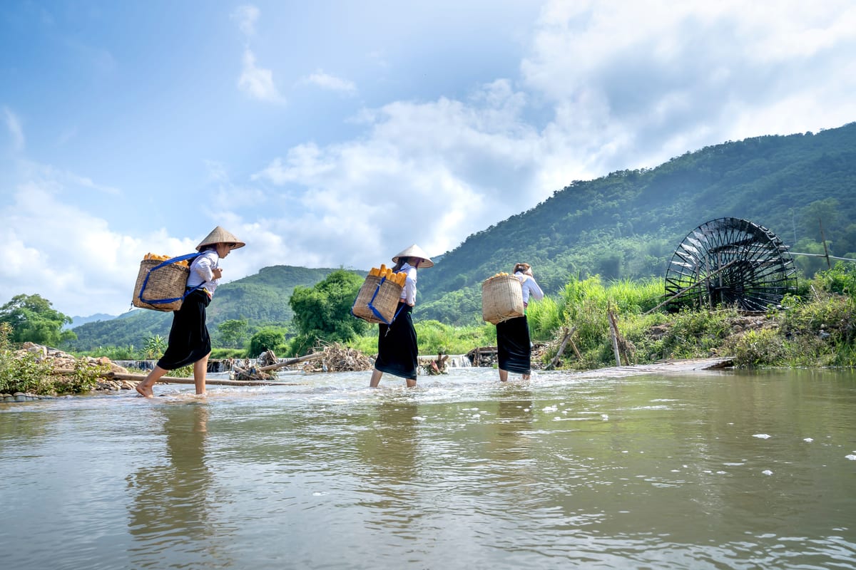 Pu Luong 2026: Ultimate Travel Guide, Itinerary & Tips