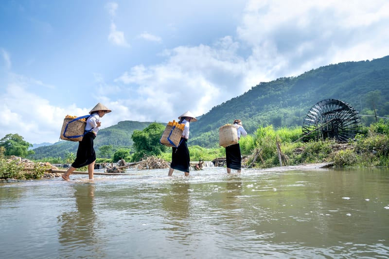 Pu Luong 2026: Ultimate Travel Guide, Itinerary & Tips