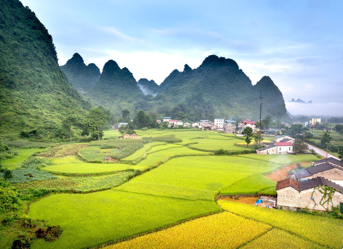 pexels-quang-nguyen-vinh-222549-6875015.jpg