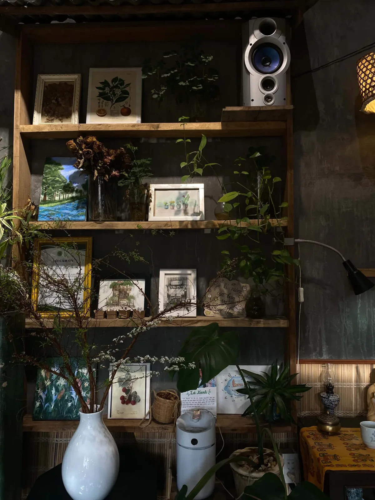 Cosy, dimly lit wooden shelving unit inside Hoa Yen An Binh Cafe, filled with framed artwork, dried flowers, potted houseplants, a silver speaker, and decorative rustic knick-knacks against a dark grey wall. (Source: nhuthuy)
