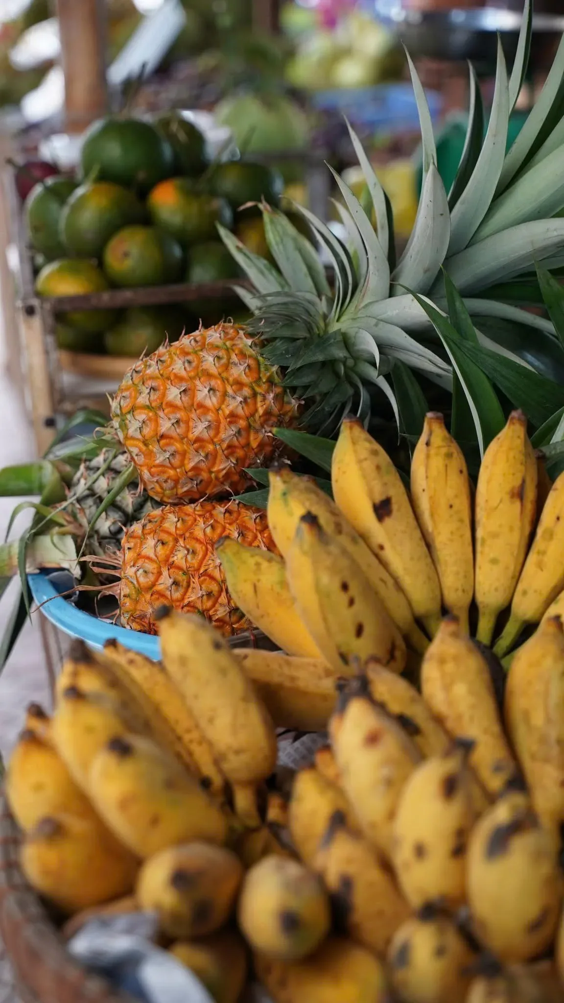 Ripe yellow bananas and spiky pineapples on display at a local tropical fruit market stall. (Source: Vườn trái cây 9 Hồng)