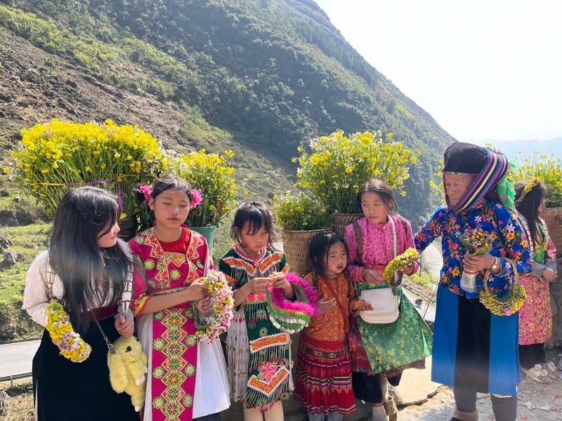 Ha Giang Travel Guide 2026: Itinerary, Tips & Costs