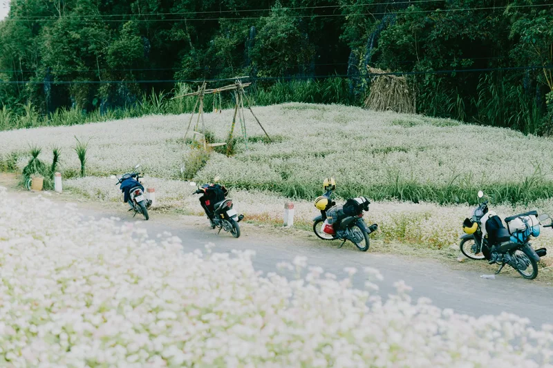 How to Get from Hanoi to Ha Giang: Complete Transportation Guide