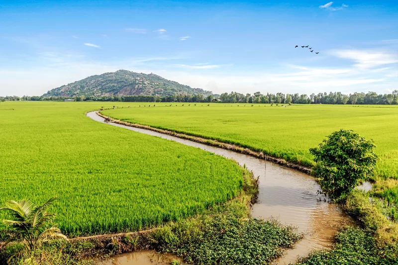 Chau Doc