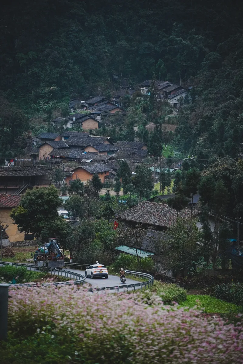 Yen Minh